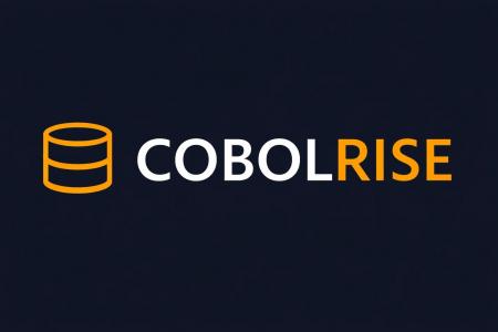 実践型育成サービス 「COBOLRISE（コボライズ）」を開