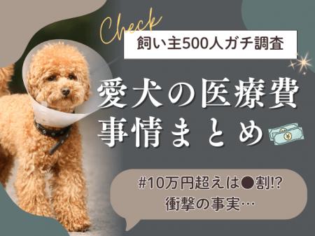 【飼い主500人に調査】愛犬の医療費10万円超えは、ま