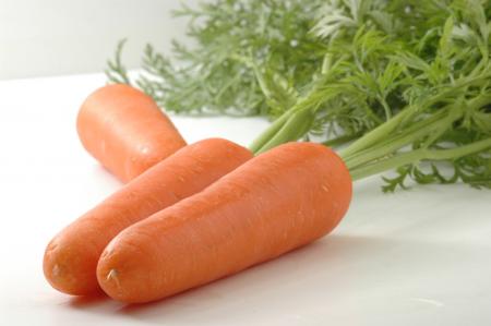環境負荷低減の食材「碧南産にんじん」を全国のutf-8