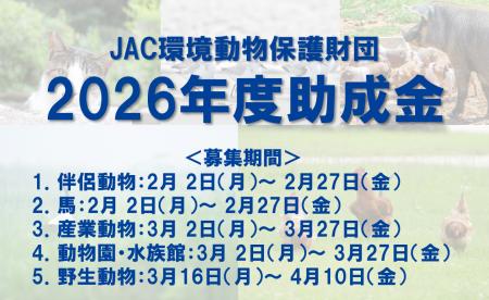 2026年度助成選考 募集要項公開｜2月より募集開始