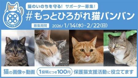 11年目の「のるまえに #猫バンバン」は猫のSNS投稿で