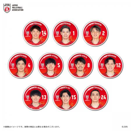 【本日より受注開始！】バレーボール男子日本代表ライ