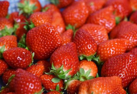 【1月15日はいちごの日】まるで宝石のような甘～い完