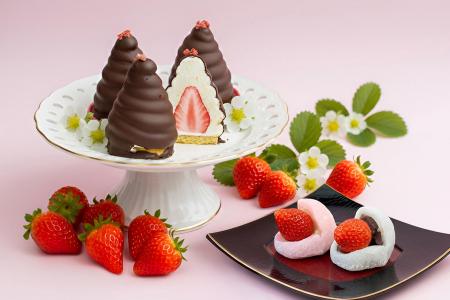 【1月17日開催】関東最大級の苺の里・山武市「さんむ