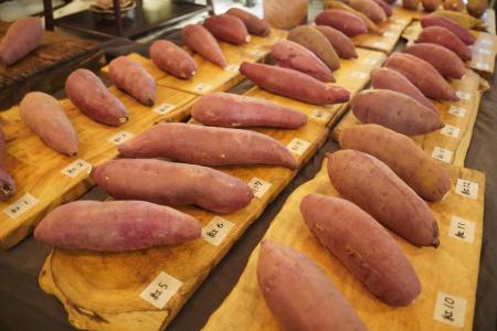 日本中のさつまいも生産者から今年は8組が選抜されま