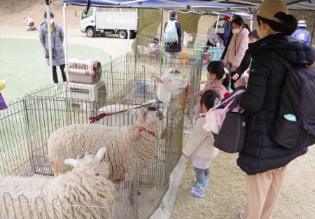 ゴルフ場が 1 日限定の ”冬のワンダーランド” に変身