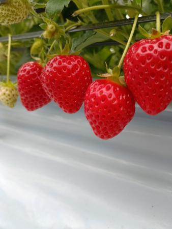 【JAF岐阜】大人気企画を今年も開催します！JAFデー「