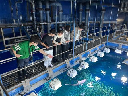 【JAF茨城】「サメタッチング体験」を実施　JAFデー i