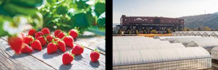 YATSUDOKI「スイーツフェア」、全国のYATSUDOKIutf-8