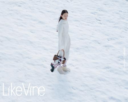 山形県西川町の伝統工芸「山葡萄つる細工」職人、伊東