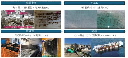 淡路島で初のJブルークレジット(R)認証を取得、クレジ