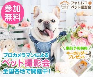 うちの子がモデルに！？全国開催「フォトレコ ペット