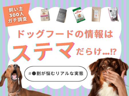 【飼い主300人に調査】ドッグフードの「ステマ」に疲