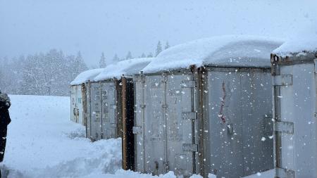 【本日22時放映予定】アイスライスがトレたまに登場！