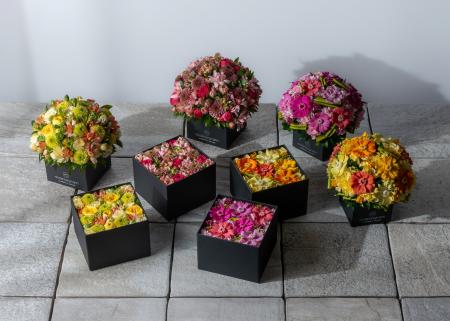 美しい冬から春への移り変わりを色鮮やかに表現した、