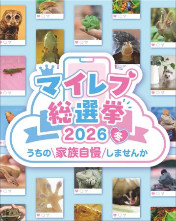 【爬虫類・両生類好き必見】エキゾチックアニマルNo.1