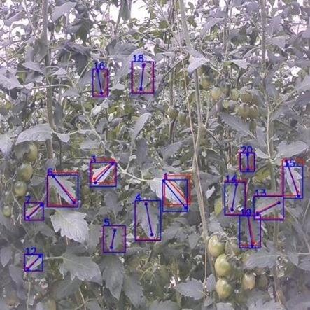 高糖度トマトを容易に栽培できるエッジAI型の萎れ灌水