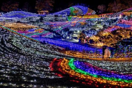 まんのう公園のイルミネーション「ウィンターファンタ