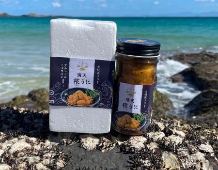 【日本初】厄介者のウニ「ガンガゼ」を100%活用し、海