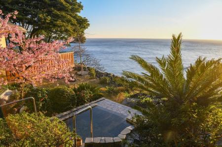 春の伊豆でいちご狩り♪ 大人女子いちご尽くしの休日。