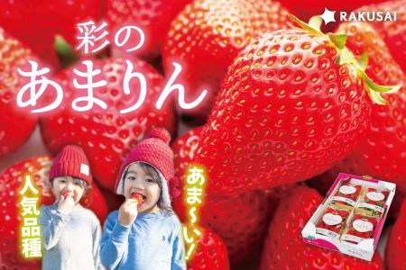 2026年RAKUSAIあまりん販売開始！『矢島農園さんの彩