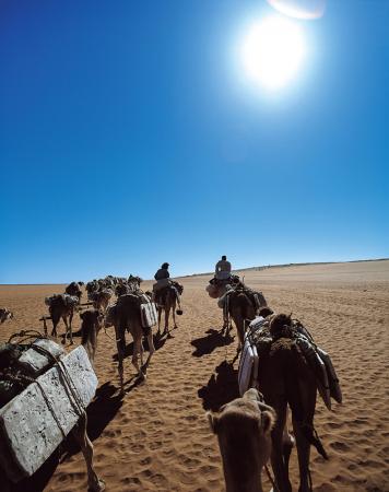 50年にわたり撮り続けた「塩の現場」の作品約80utf-8