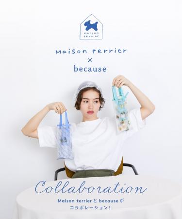Maison terrier × because COLLABORATION　メゾンテリ