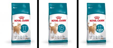 ロイヤルカナン、シニア期猫の栄養ニーズによりきめ細