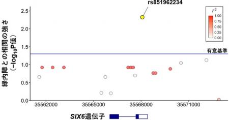 【横浜市立大学】イヌとヒトに共通する緑内障関utf-8