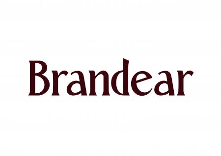 ブランド品売買サービス「Brandear」が初のリブランデ