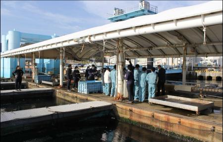 大分県立海洋科学高等学校の生徒とヒラメ養殖を学ぶ！