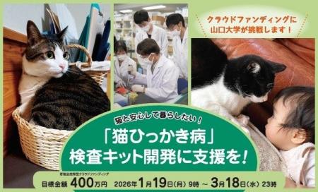【山口大学】「猫ひっかき病」迅速検査キット開発へ
