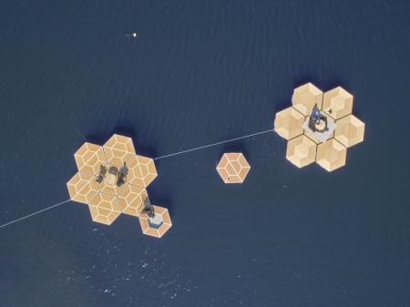 【ニュースレター】水上電動モビリティ「Sixフロutf-8