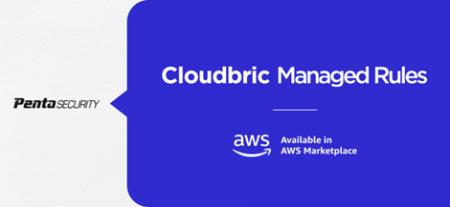 ペンタセキュリティ、AWS WAF専用のマネージドルール