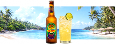 新感覚の爽快感。本場アメリカのクラフト・ジンジャー