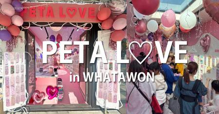 【新店オープン】初回週末は想定超えの来場｜シール専