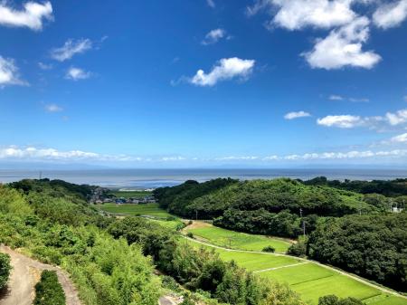 佐賀の農園とタッグ。樹上完熟みかんを五感で楽しむ体