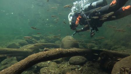 【滝壺内での貴重な映像撮影に成功】赤目四十八滝で真