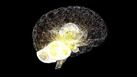 シナプス分子 Rab3Aの変異が原因となる新しい遺伝性脊