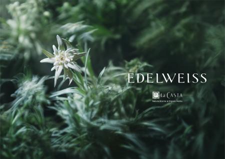 【ラ・カスタ】ブランド30年の集大成「エーデルワイス
