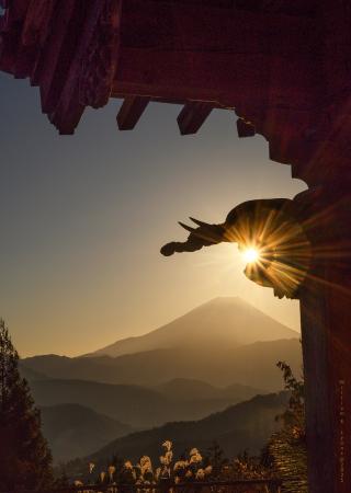 NYの最前線から、富士の麓の静寂へ。