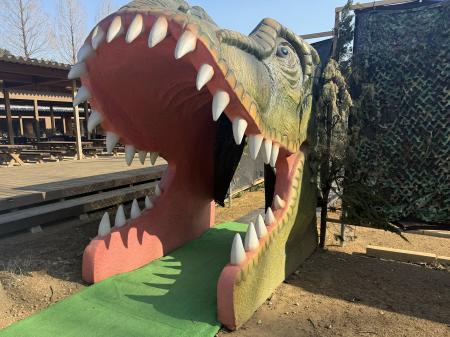 【期間限定】こもれびの森イバライドにて、ワン・ステ