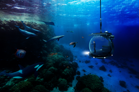 「海中旅行」の夢を諦めない。40歳で余命宣告を受けた