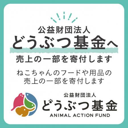 「カインズ にゃん祭り2026」寄付活動1月24日（土）か