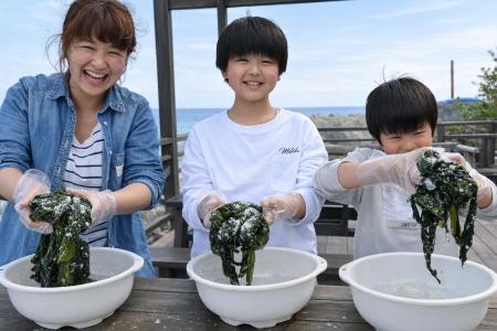 旅の終わり、きっとワカメに恋をする。【2～3月限定】