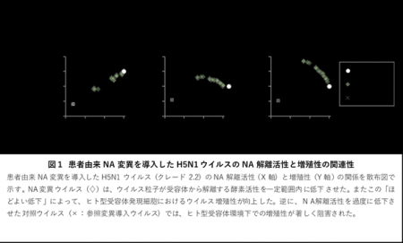 鳥インフルエンザウイルスがヒトに感染しやすくutf-8