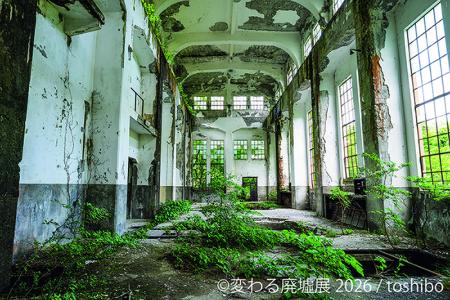息をのむ美しさ！“廃墟”をアート作品として昇華utf-8
