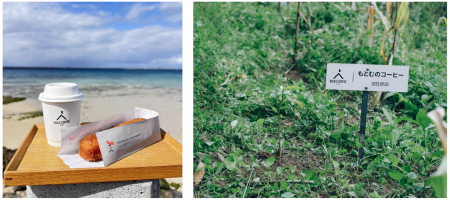 BIKAS COFFEEが沖縄初上陸!地域で愛されるもとむのカ BIKAS COFFEEが沖縄初上陸!地域で愛されるもとむのカ