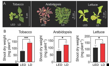 スタンレー電気、東京大学と赤色レーザーダイオードに