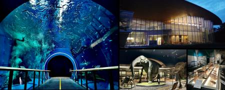 琵琶湖博物館30周年記念事業 ナイトミュージアム・プ